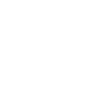 Health & Wellbeing - Icon - Outreach Support