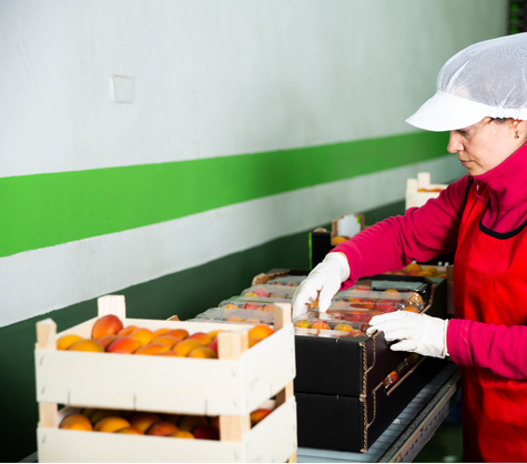 ConnectU - Foodbank Image Square